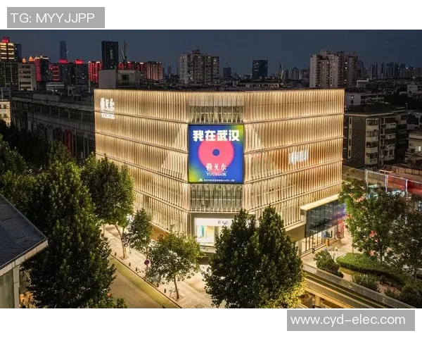 武汉街舞队意识形态的深度对比与文化影响探讨